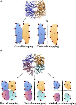 Identification of Alternative Allosteric Sites in Glycolytic Enzymes for Potential Use as Species-Specific Drug Targets